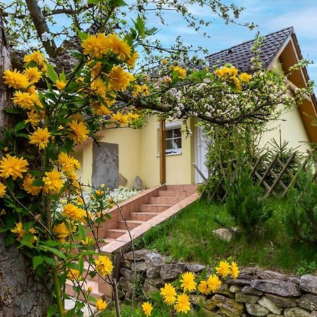 Apartmanovy Dum Vilémovice المظهر الخارجي الصورة